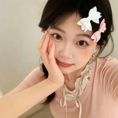 托梅斯的导盲犬